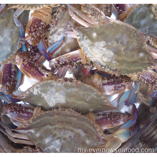 အေးခဲပင်လယ်စာ သိပ္ပံအမည် ကဏန်း